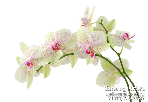 картинки для фотопечати на потолках, идеи, фото, образцы - Потолки с фотопечатью - Белые орхидеи 29